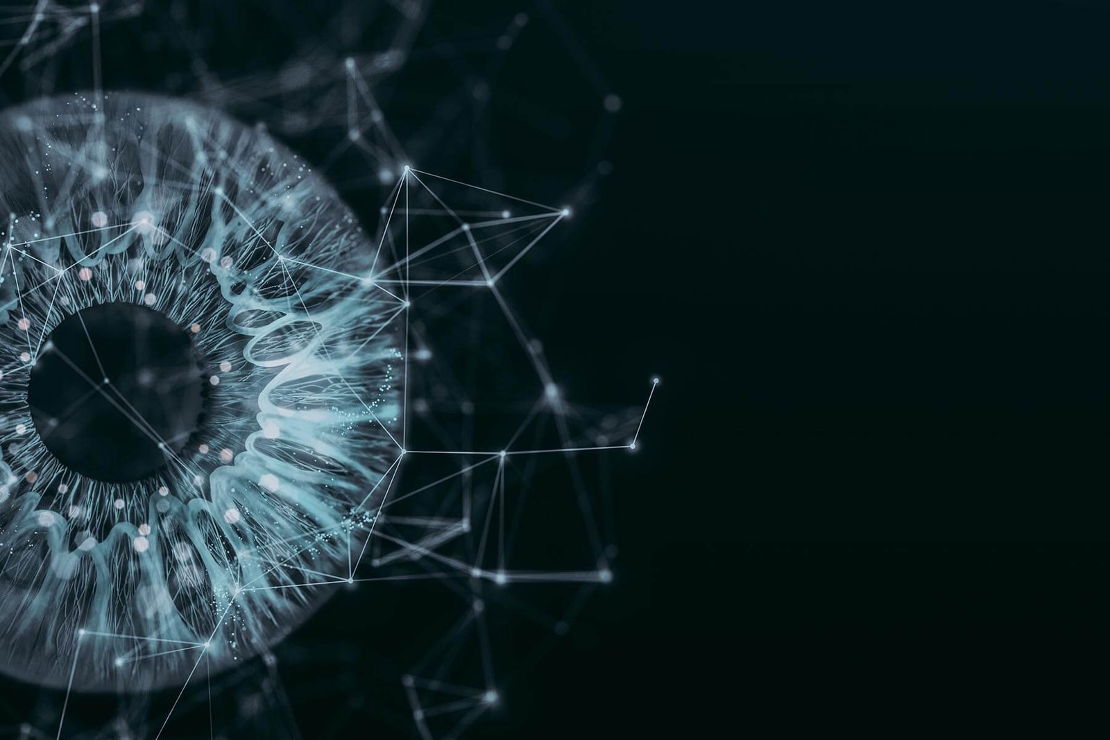 La gestión de riesgos humanos será el tema candente de 2025